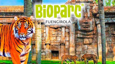 fuengirola selwo|Selwo Aventura o Bioparc Fuengirola